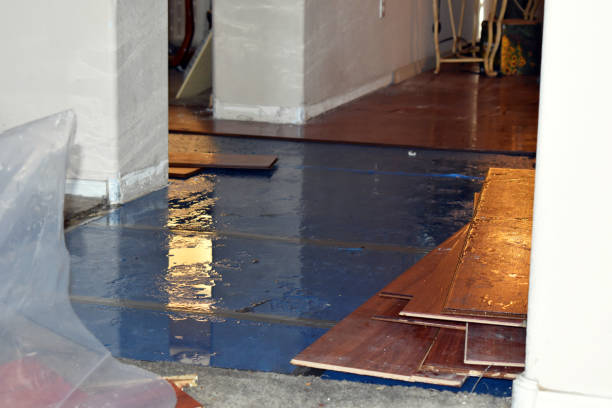 Professional Basement Flood Cleanup technician working in Round Top, TX